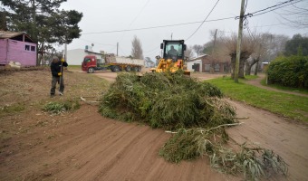 CONTINA EL TRABAJO DE LOS CORRALONES MUNICIPALES EN LA RECOLECCIN DE RAMAS